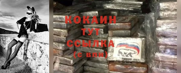 винт Арсеньев
