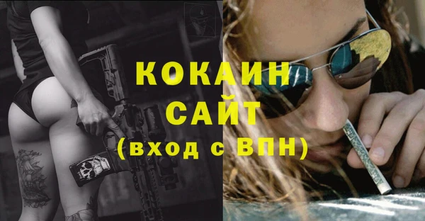 винт Арсеньев